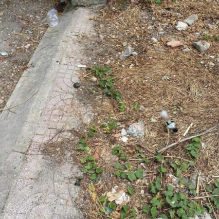 Cơ hội sở hữu nhà đất khu trung tâm Thủ Đức không có nền thứ 2 tại khu vực.