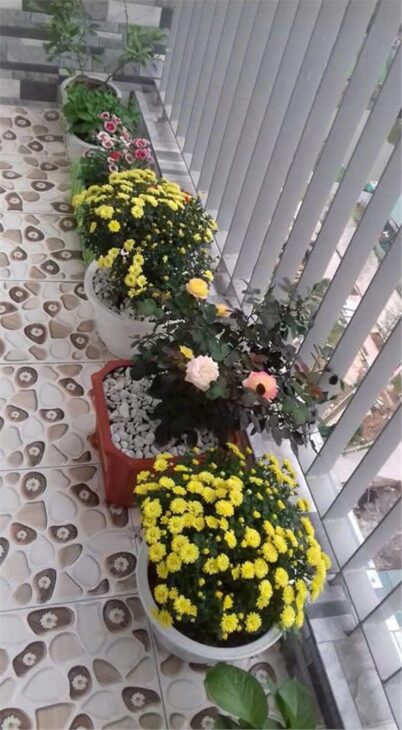 Cần bán căn hộ Thông tấn xã – Căn đầu hồi, 75m² – Giá 4,7 tỷ