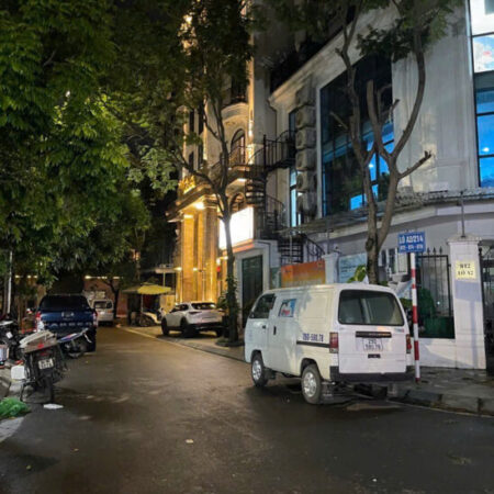 BIỆT THỰ – LÔ GÓC – VỈA HÈ ĐÁ BÓNG – Ô TÔ 45 CHỖ TRÁNH NHAU – VIP NHẤT PHỐ – SÁT PHỐ ĐI BỘ CARNABY BIỆT THỰ – LÔ GÓC – VỈA HÈ ĐÁ BÓNG – Ô TÔ 45 CHỖ TRÁNH NHAU – VIP NHẤT PHỐ – SÁT PHỐ ĐI BỘ CARNABY