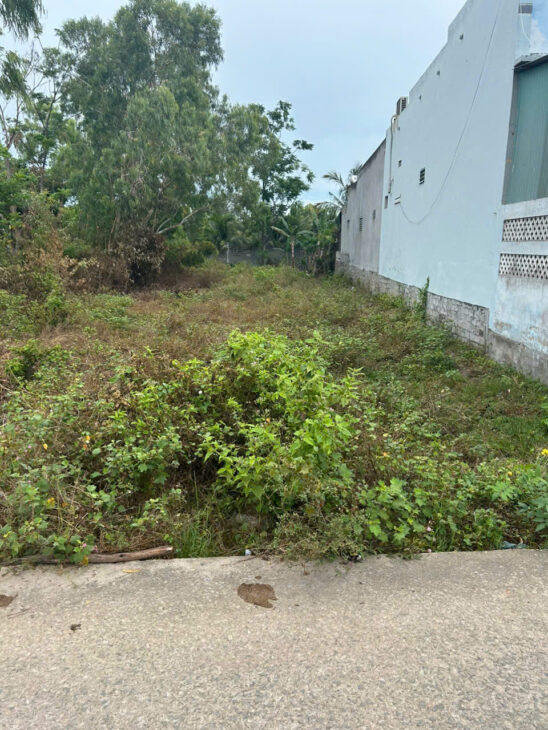 Bán đất thổ cư 11m x 50m Hẻm Ngô Quyền, Tân An, thị xã LaGi giá ngộp