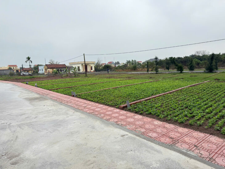 Bán đất trung tâm thị trấn quất lâm gần bãi tắm, quảng trường từ 1 tỷ