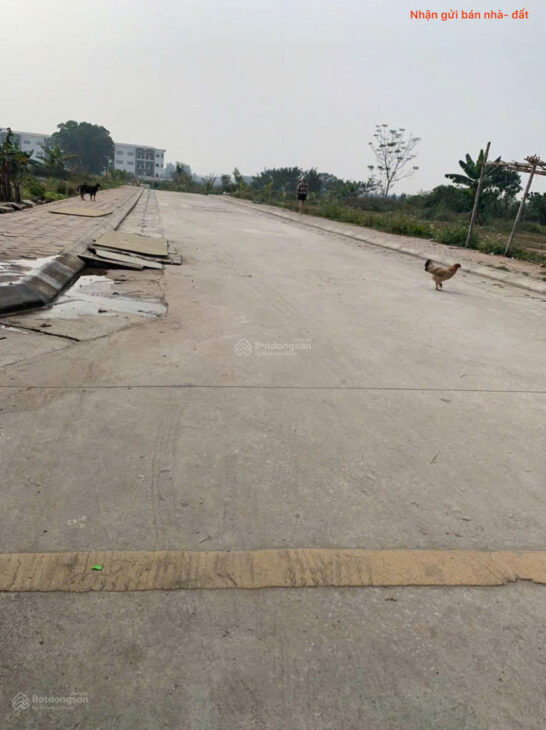 Bán đất đấu giá tổ 3, thị trấn Quang Minh, Mê Linh. Ba bước tới đường Quang Minh, UBND.