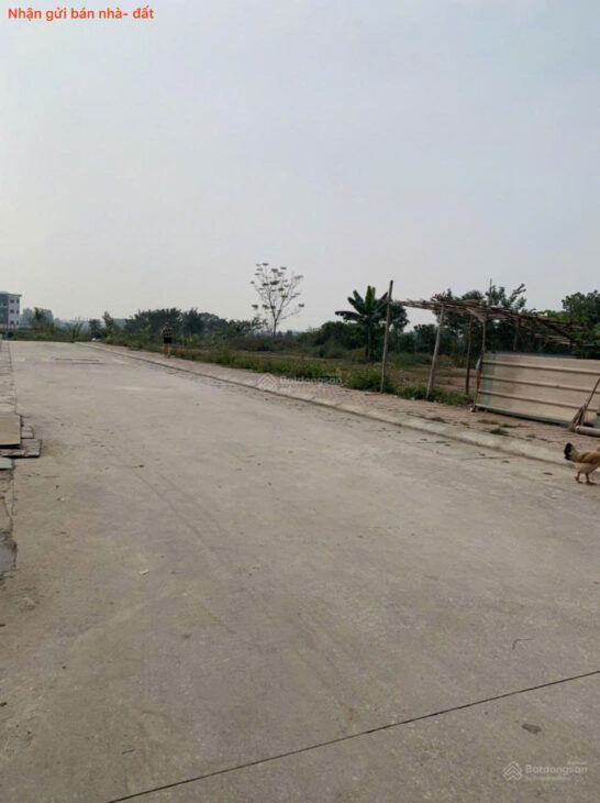 Bán đất đấu giá tổ 3, thị trấn Quang Minh, Mê Linh. Ba bước tới đường Quang Minh, UBND.