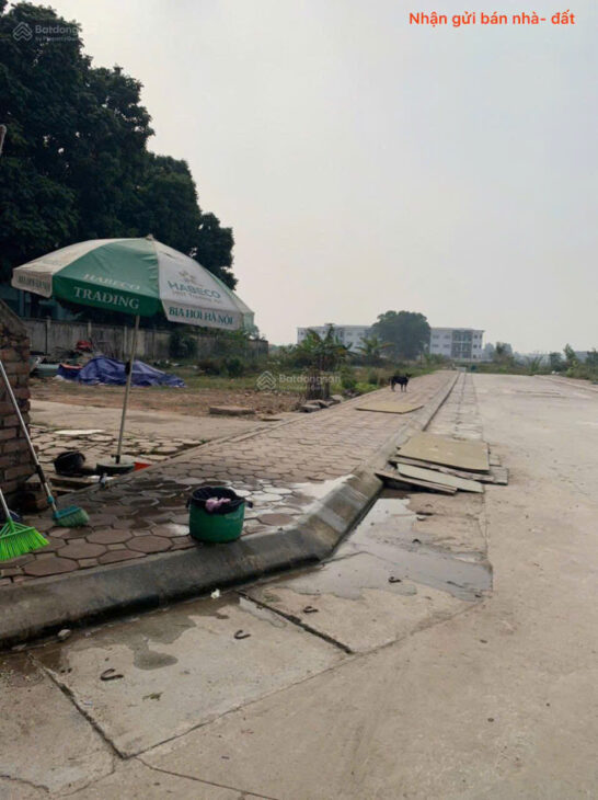 Bán đất đấu giá tổ 3, thị trấn Quang Minh, Mê Linh. Ba bước tới đường Quang Minh, UBND.