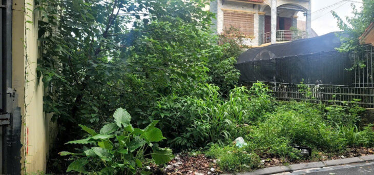 Bán 256m ĐẤT MT 9,2m Xuân Khối (Độc Lập cũ) Cự Khối LB giá 10,8 ty oto,KD