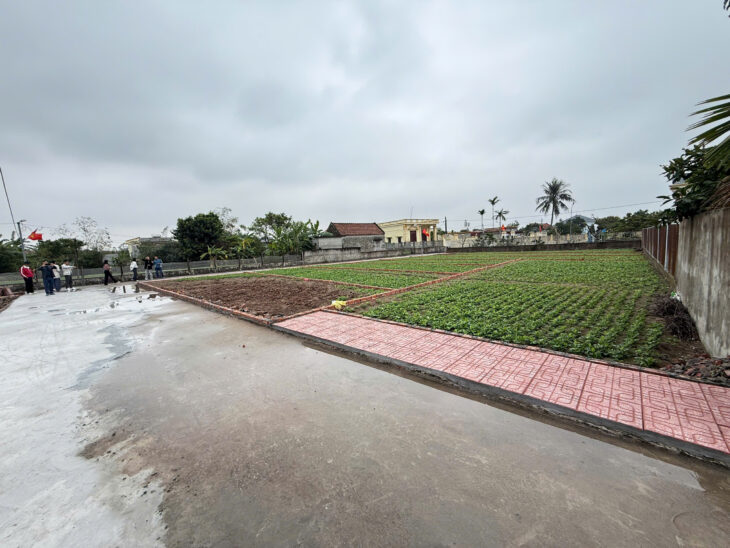 Em cần bán lô đất 90m2 thị trấn quất lâm nhỉnh 1 tỷ