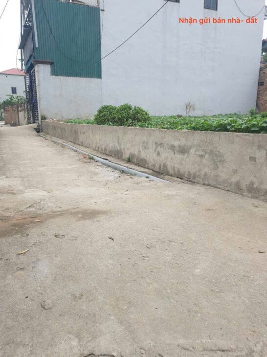 Bán đất thôn Phù Trì, Kim Hoa, Mê Linh. Gần đường vành đai 4. Full thổ cư, ô tô đỗ cửa.