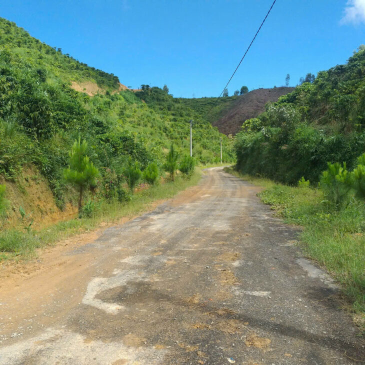 CHÍNH CHỦ BÁN ĐẤT TRỒNG CHÈ – CÀ PHÊ VIEW ĐẸP TẠI ĐẠI LÀO – BẢO LỘC 🌿