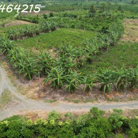 BÁN ĐẤT VIEW SÔNG – HẺM ĐƯỜNG ĐINH CÔNG TRÁNG, TP BẢO LỘC ???? Xã Lộc Châu, TP Bảo Lộc, Tỉnh Lâm Đồng