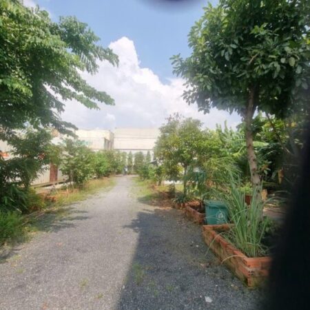 BÁN ĐẤT MẶT TIỀN NGUYỄN THỊ TƯ – PHÚ HỮU, TP. THỦ ĐỨC 8000m2