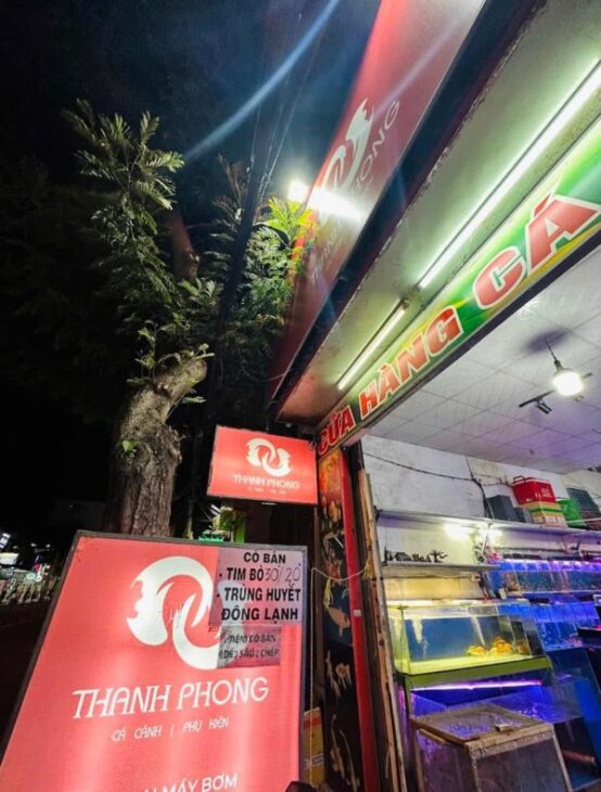 Quận 7 ! Sang Tiệm – Cửa Hàng Cá Cảnh , MT 51 nguyễn thị thập, p tân phú, Tel : 0793984540 –