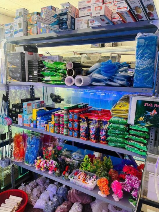 Quận 7 ! Sang Tiệm – Cửa Hàng Cá Cảnh , MT 51 nguyễn thị thập, p tân phú, Tel : 0793984540 –