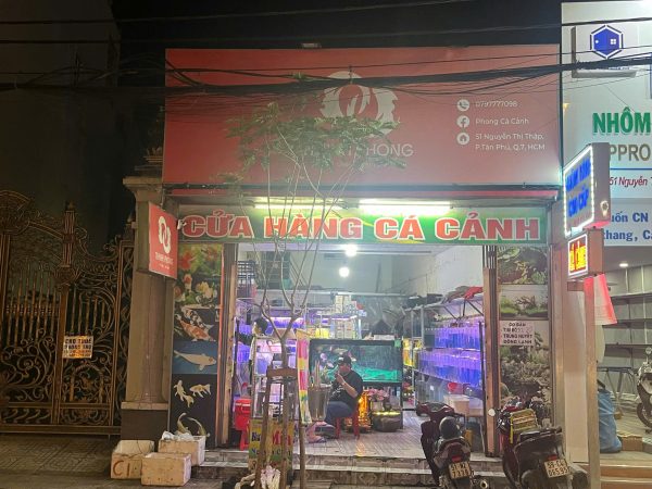 Quận 7 ! Sang Tiệm – Cửa Hàng Cá Cảnh , MT 51 nguyễn thị thập, p tân phú, Tel : 0793984540 –