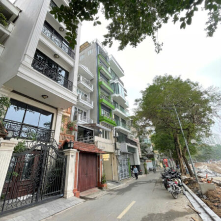 Bán nhà Mặt Phố Mai Anh Tuấn (Mặt Hồ Hoàng Cầu) 257/283m x 4Tầng, MT 8m 150 Tỷ