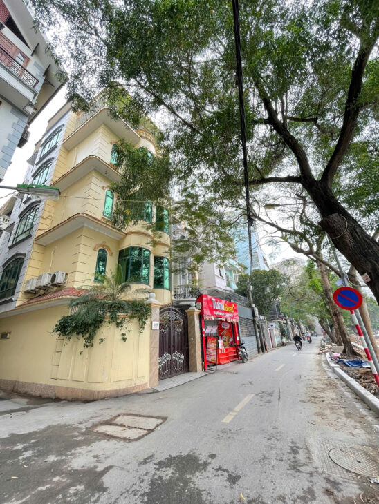 Bán nhà Mặt Phố Mai Anh Tuấn (Mặt Hồ Hoàng Cầu) 257/283m x 4Tầng, MT 8m 150 Tỷ