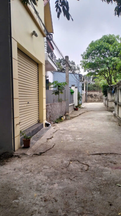 CHÍNH CHỦ BÁN ĐẤT TÂN TRẠI, PHÚ CƯỜNG, SÓC SƠN, HÀ NỘI