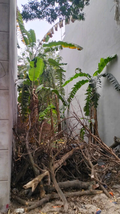 CHÍNH CHỦ BÁN ĐẤT TÂN TRẠI, PHÚ CƯỜNG, SÓC SƠN, HÀ NỘI