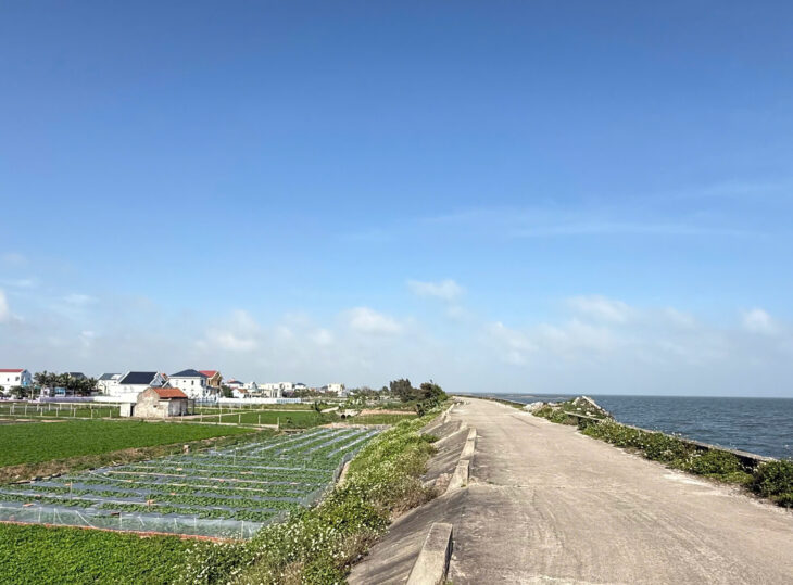 Bán đất biển Quất lâm 100m2, 5m mặt tiền, sát cạnh Flamingo