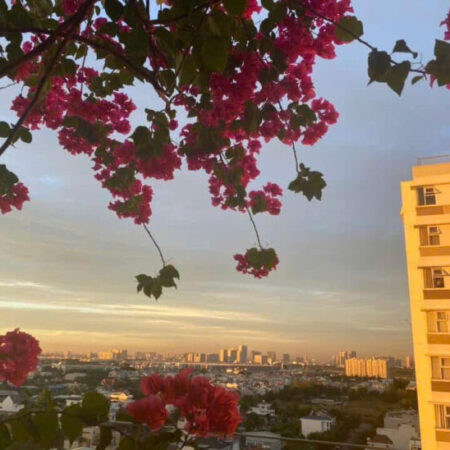 BÁN CĂN HỘ CHUNG CƯ FUJI – PHƯỚC LONG B, THỦ ĐỨC – FULL NỘI THẤT, VIEW 2 MẶT THOÁNG