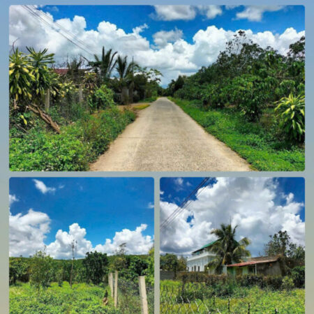 BÁN LÔ ĐẤT NGỘP TẠI DI LINH – BÁN NHANH 1 TỈ