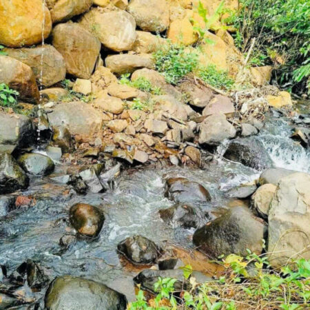 ???? GIÁ NGỘP THỞ – BÁN GẤP VƯỜN CÂY ĂN TRÁI 4,3 SÀO – HẺM 198 ĐOÀN THỊ ĐIỂM, LỘC THANH, TP. BẢO LỘC