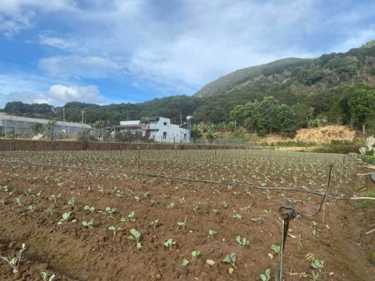 BÁN 6000M2 ĐẤT XÃ HIỆP AN – ĐỨC TRỌNG LÂM ĐỒNG – giá chỉ : 13 tỷ