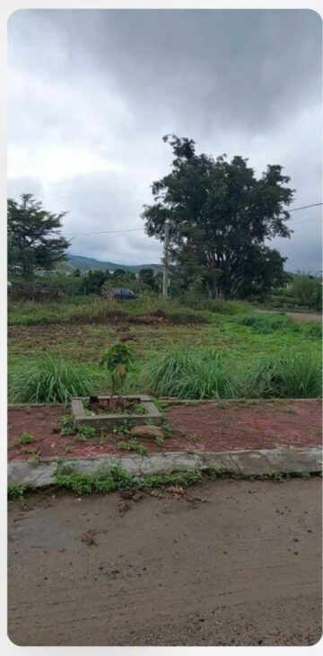 BÁN ĐẤT GẦN ĐƯỜNG THỐNG NHẤT , GẦN KHU CÔNG NGHIỆP PHÚ HỘI -ĐỨC TRỌNG – LÂM ĐỒNG