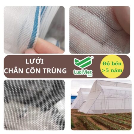 Lưới chắn vôn trùng Lưới chắn vôn trùng
