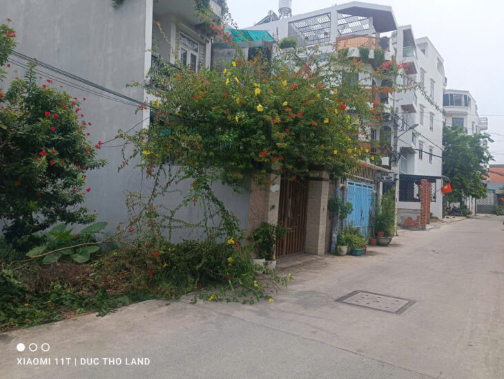 HOT! Bán đất 702m2 tặng căn nhà vườn C4, HXH 1/ Hà HuyGiáp gần Ngã Tư Ga, nhỉnh 22tr/m2