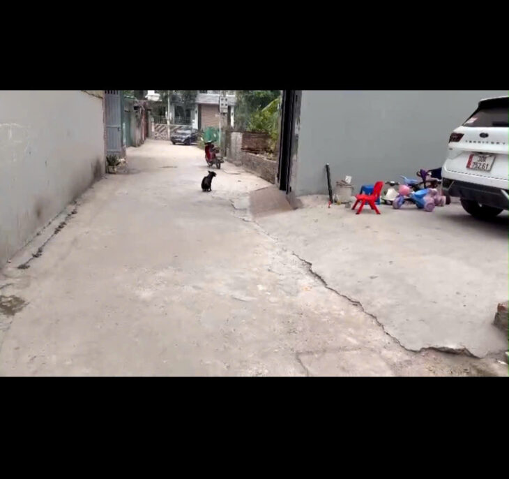 GIÁ SỐC-BÁN LÔ ĐẤT XÃ ĐỒNG THÁP, ĐAN PHƯỢNG-77.8M-GIÁ 3.65 TỶ