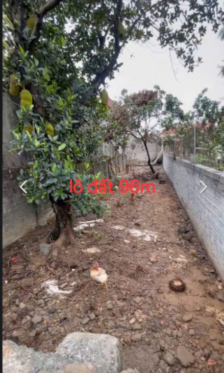BÁN LÔ ĐẤT ĐẸP XÃ HOÀNG VĂN THỤ, CHƯƠNG MỸ-96M-GIÁ 1.8X TỶ