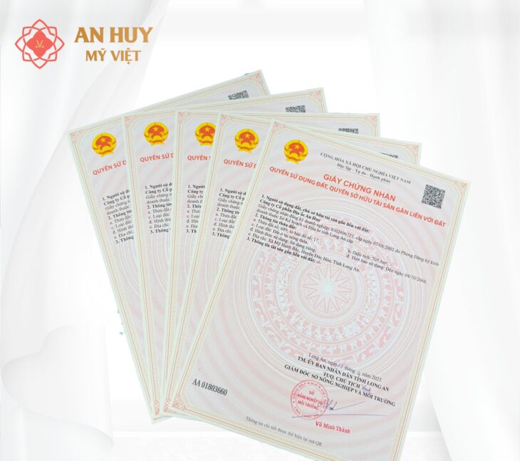 KDT AN HUY MỸ VIỆT