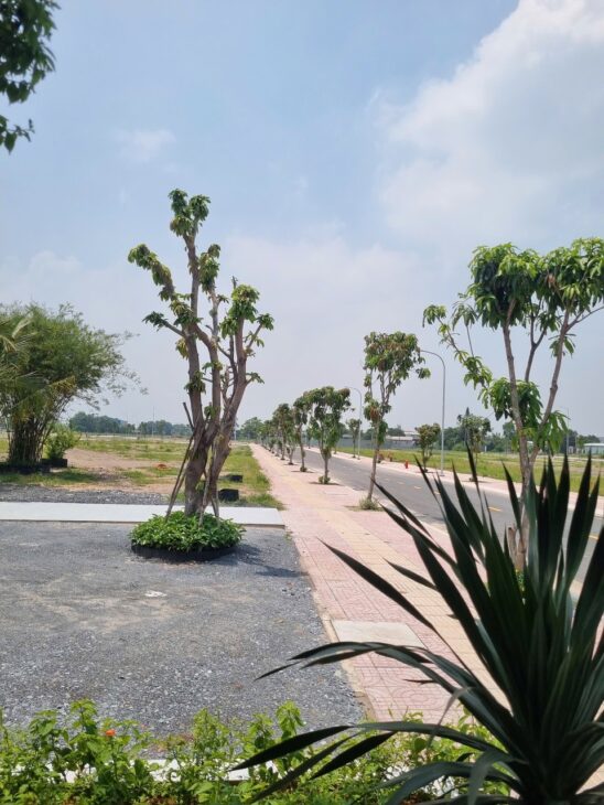 Bán đất thổ cư 50 triệu – Mỹ Hạnh Bắc, Đức Hòa, Long An (Sổ đỏ)