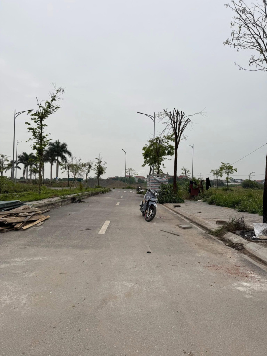 Bán đất tái định cư Đông Nam Cổ Dương, Tiên Dương