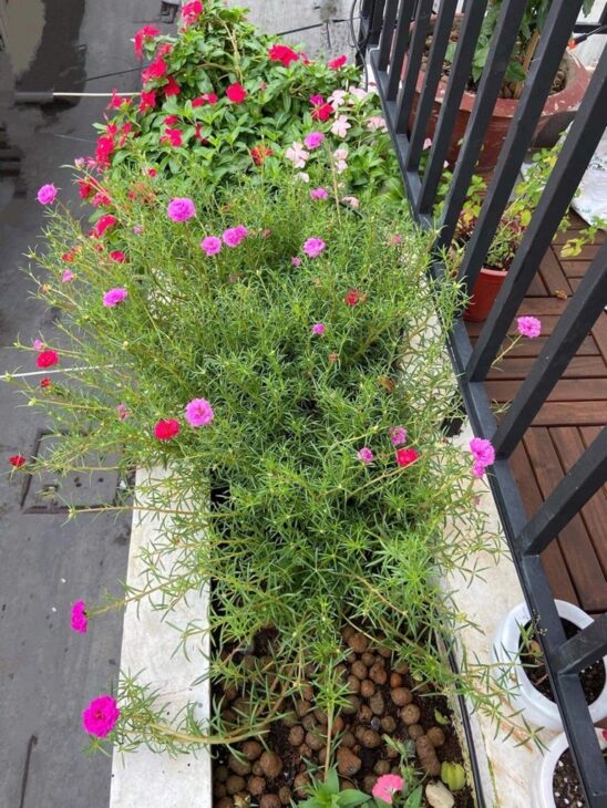 NHÀ BÁN nhà 4 tầng. hẻm xe hơi. Không quy hoạch, 6.3 tỷ, nở hậu tốt Âu dương lân. phường 3 quận 8,