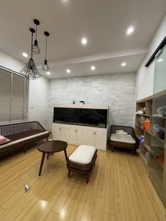 Thế Long ẩn hiện, Nhà đep như Ngọc giữa lòng Hà Nội, ô tô vào nhà, chuẩn khí đón tài giữ phúc