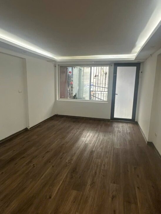 NGUYỄN ĐỨC CẢNH – TƯƠNG MAI – HM