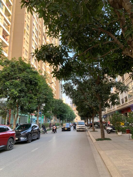Bán liền kề Vinhomes Gardenia Hàm Nghi, 120m2, 5 tầng, thang máy, vị trí đẹp