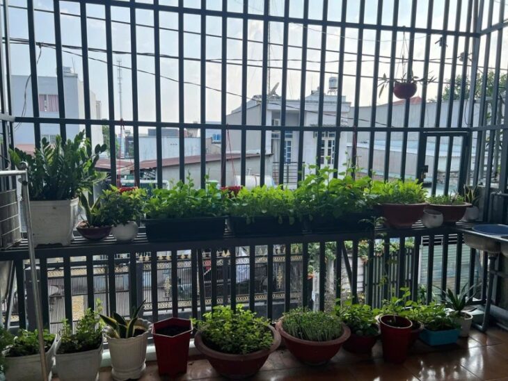 BÁN NHÀ KP THỐNG NHẤT PHƯỞNG DĨ AN BÌNH DƯƠNG
