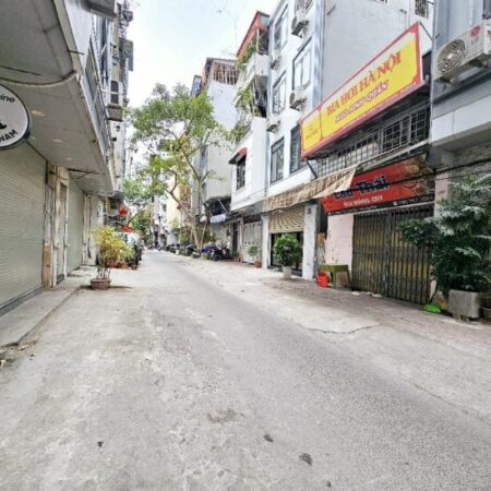 Tân Mai Long Phụng sum vầy, Lộc vàng tụ khí, siêu hiếm, ô tô tránh, vào nhà, thế đất vượng, kinh