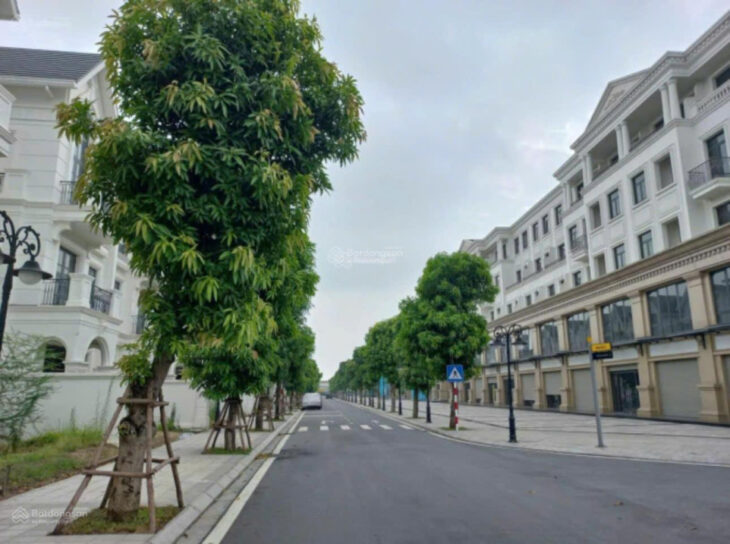 CHO THUÊ Shophouse HẢI ÂU 9 -OCEAN PARK 1-58m2/5TẨNG – THANG MÁY- KINH DOANH ĐỈNH – 27 TRIỆU/THÁNG