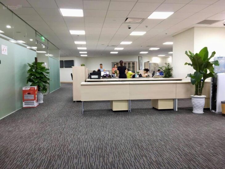 AI Bán nhà 228m², 7 tầng, Lý Thường Kiệt, Tân Bình, 85 tỷ, sổ đỏ
