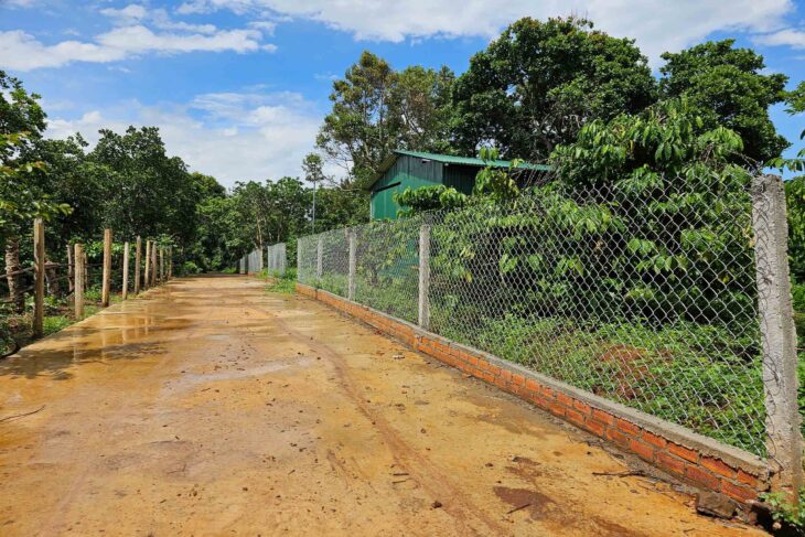 ĐẤT NÔNG NGHIỆP 1.7 HA, EA KAO – BUÔN MA THUỘT – GIÁ HẤP DẪN 450 TRIỆU/SÀO