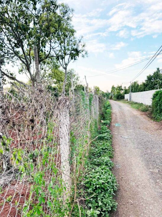 ???? SIÊU PHẨM ĐẤT BAZAN 1,3HA – CÁCH QL14 CHỈ 400M – GIÁ CHỈ 650TR/SÀO ????