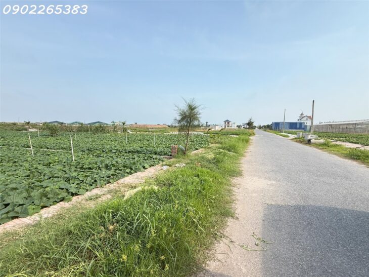 Bán gấp đất nền 91m2 tại Giao Phong Giao Thủy Nam Định giá chỉ 1,7 tỷ