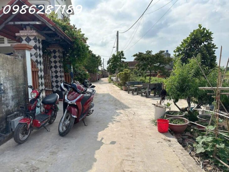 CẦN BÁN 6 LÔ ĐẤT TẠI BÙNG BÌNH DƯƠNG – GIA BÌNH – BẮC NINH GIÁ ĐẦU TƯ FO