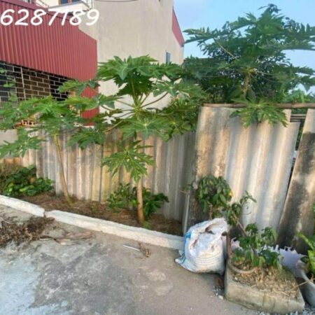 Cần bán lô đất làn 4 khu đô thị gần bệnh viện đa khoa huyện Lương Tài , tỉnh Bắc Ninh .