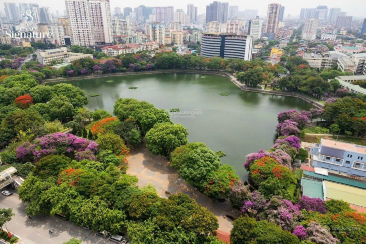Chung cư mặt phố Nguyễn Văn Huyên,Cầu Giấy Hanoi Signature,bàn giao quý 2 năm 2025,đẳng cấp độc bản