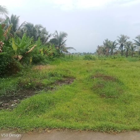 Đất Nền Đức Hòa Gần Vinhomes 197ha – 355m² Thổ Cư – Giá Rẻ Chính Chủ Bán Gấp