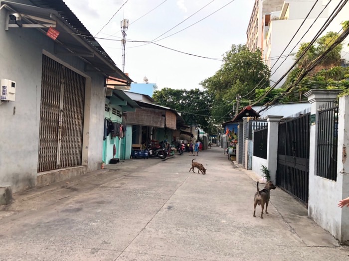 CĂN HỘ DỊCH VỤ – GÓC 3 MẶT TIỀN – 110.5m² – THU 20TR/THÁNG – CHỈ 9 TỶ